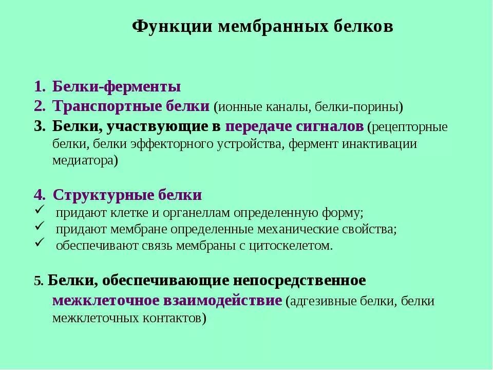 Функция структурная транспортная. Функции белков в мембране клетки. Белки мембраны функции. Мембранные белки функции. Функции белков в клеточной мембране.