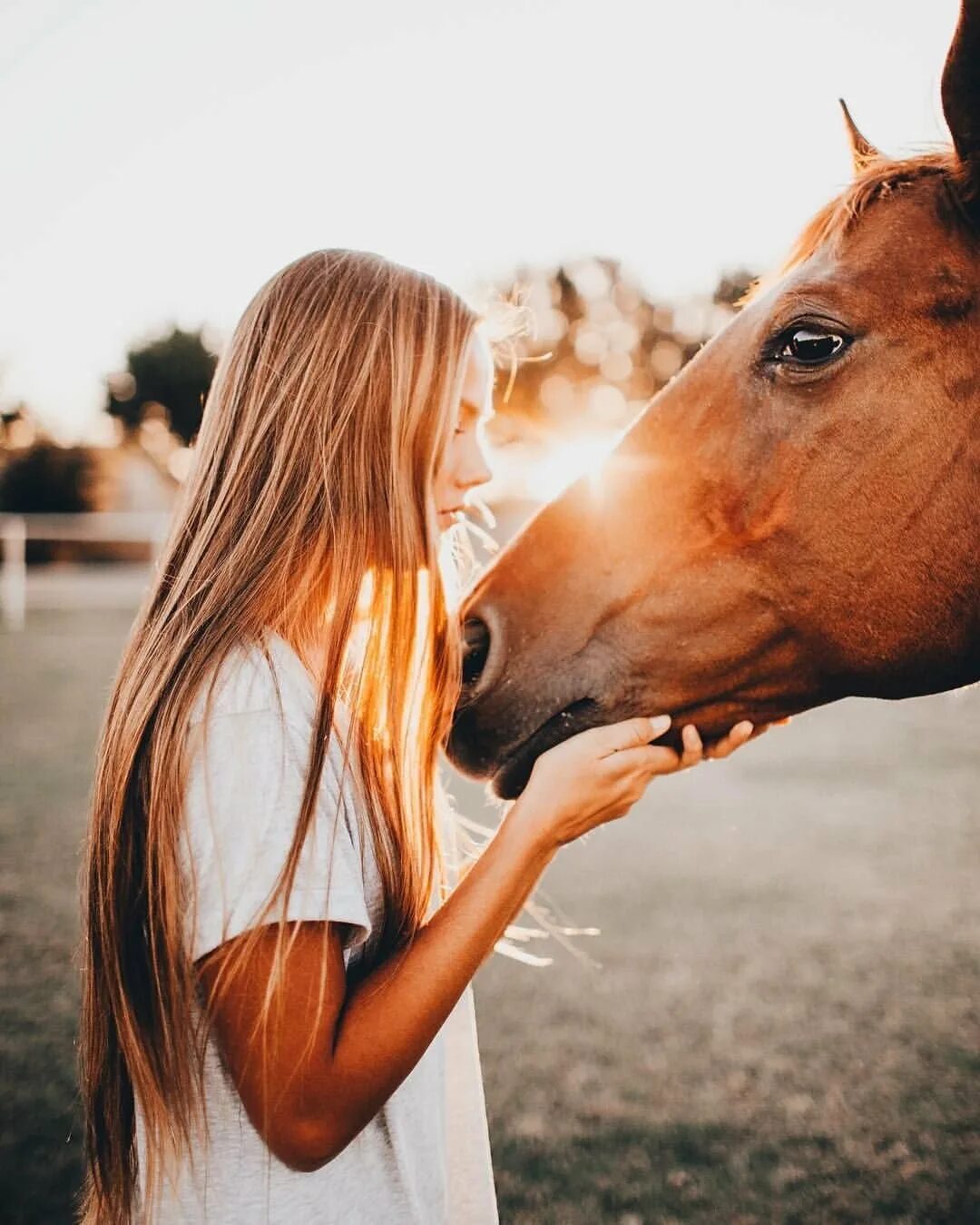 Девки и лошади. Фотосессия с лошадьми. Девушка с лошадью. Красивая фотосессия с лошадью. Девушка с лошадью фотосессия.