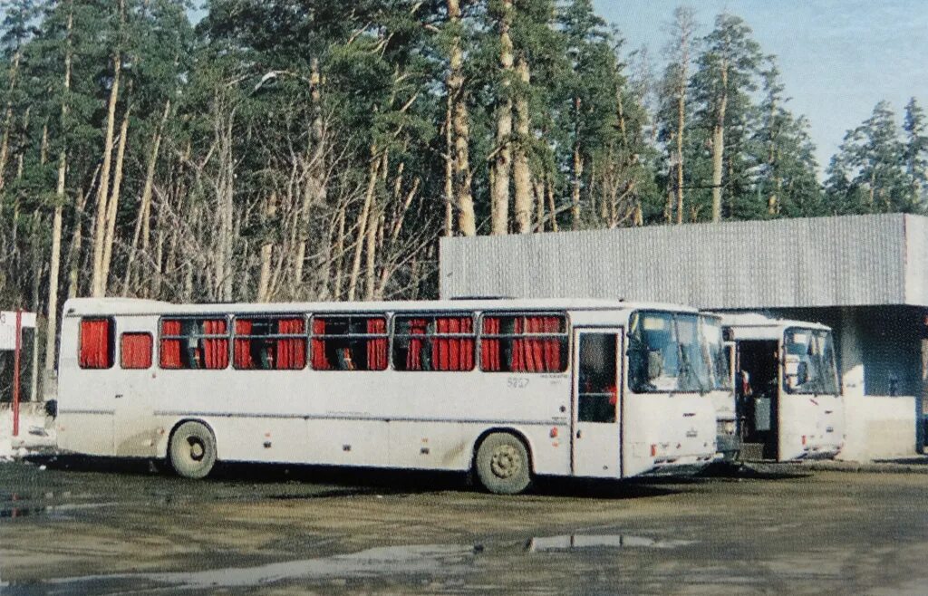 Автобусы самара тольятти автовокзал