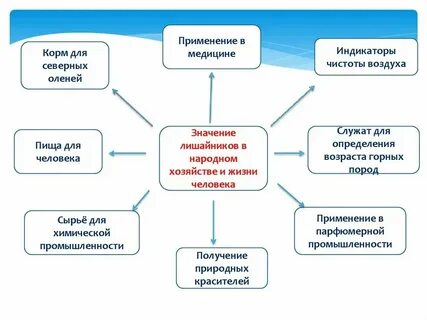 Какую роль играют простейшие в природе