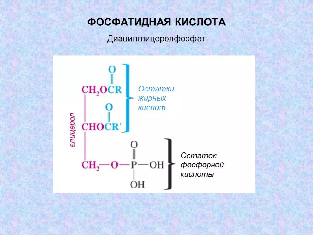 Остаток фосфорной кислоты в фосфолипиде. Строение фосфатидной кислоты. фосфатидная кислота строение. фосфатидная кислота ресинтез. фосфатидная кислота содержит остаток.
