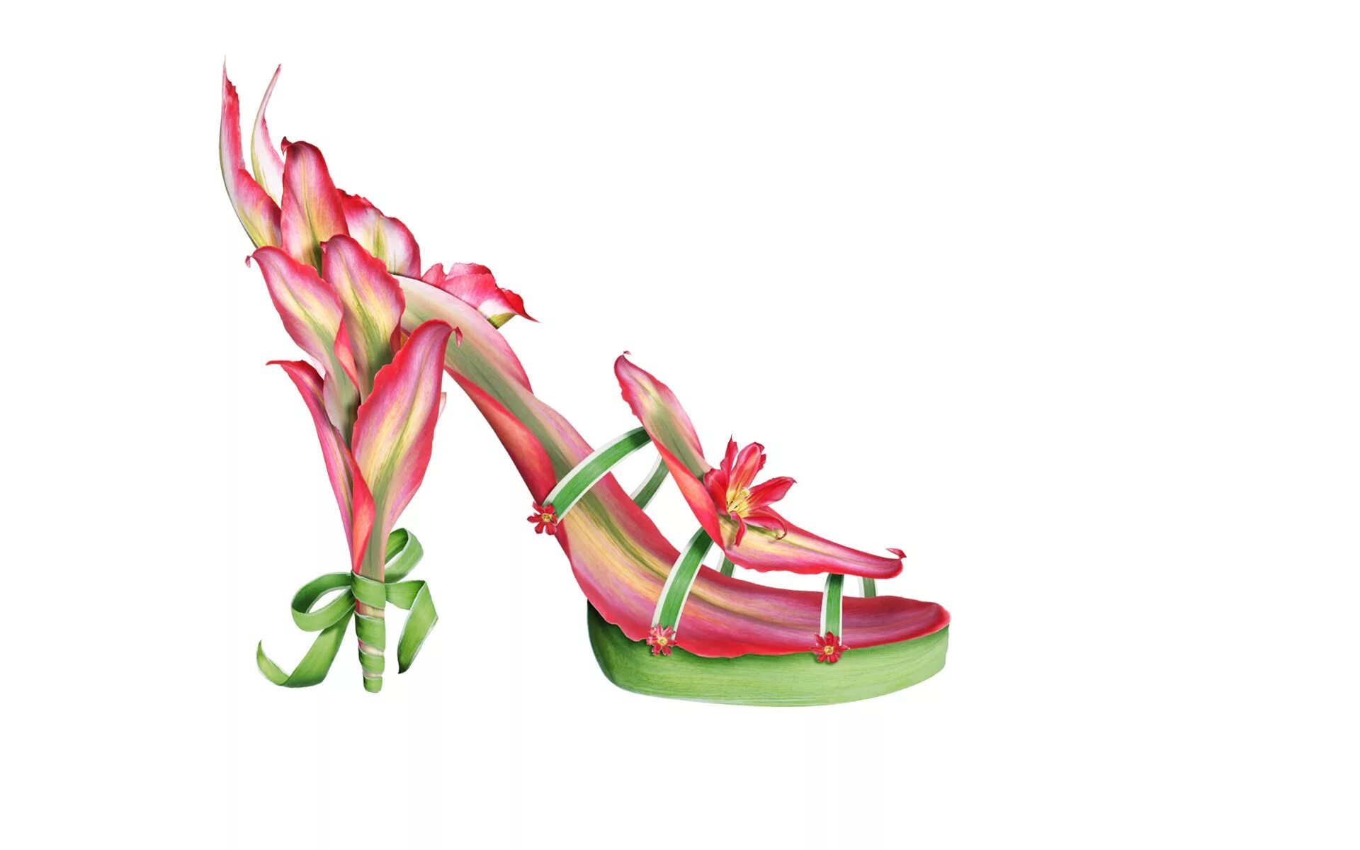 Цветы в туфле. Орхидея венерин башмачок. Сообщение о цветке венерин башмачок. Венера богиня древней греции. Туфли с цветами.