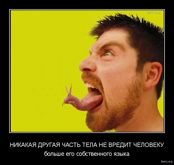 Никаких дополнительных