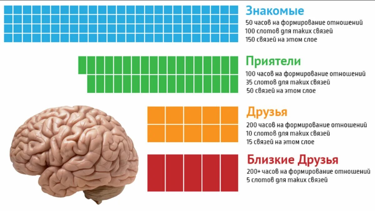 Друзья сколько часов. Сколько зарабатывает антрополог. Сколько зарабатывают судебные антропологи. Сколько зарабатывает в среднем антрополог.