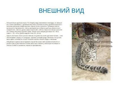 Покажи животных которые занесены