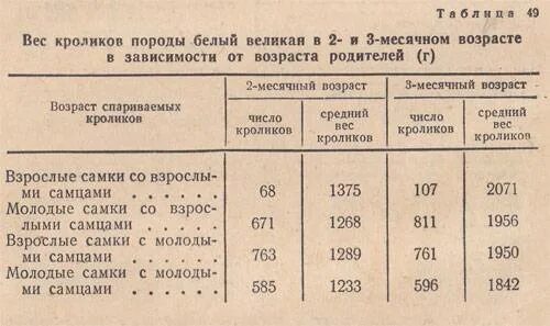 Сколько месяцев крольчихи. Вес кролика по месяцам таблица. Вес кролика великана по месяцам. Вес кролика в месяц. Сколько должен весить кролик.