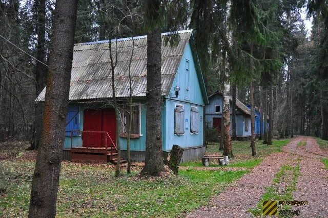 Дол энергия. Лагерь МЭИ Фирсановка. Пионерский лагерь Фирсановка МЭИ. Лагерь Быковского Покров. Лагерь энергия МЭИ.