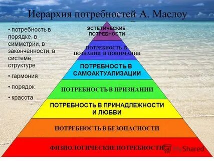 Иерархия ценностей жизни