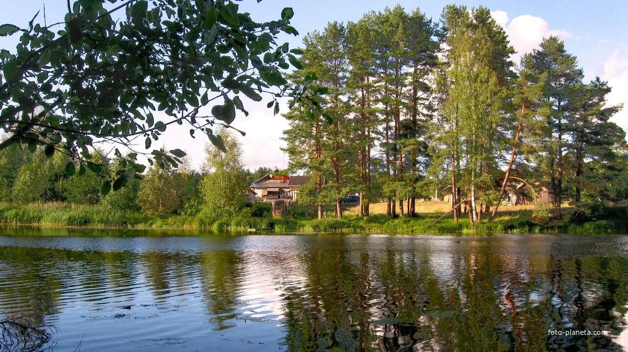 Погода на неделю в сокольском нижегородской области. Куртюга Сокольский район. Сокольский район Нижегородская область. Куртюга Нижегородская область. Поселок Куртюга Сокольский район.