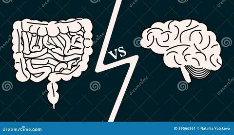 The second brain