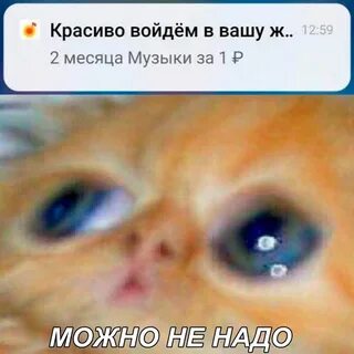 Memify Ru - Лучшие мемы.