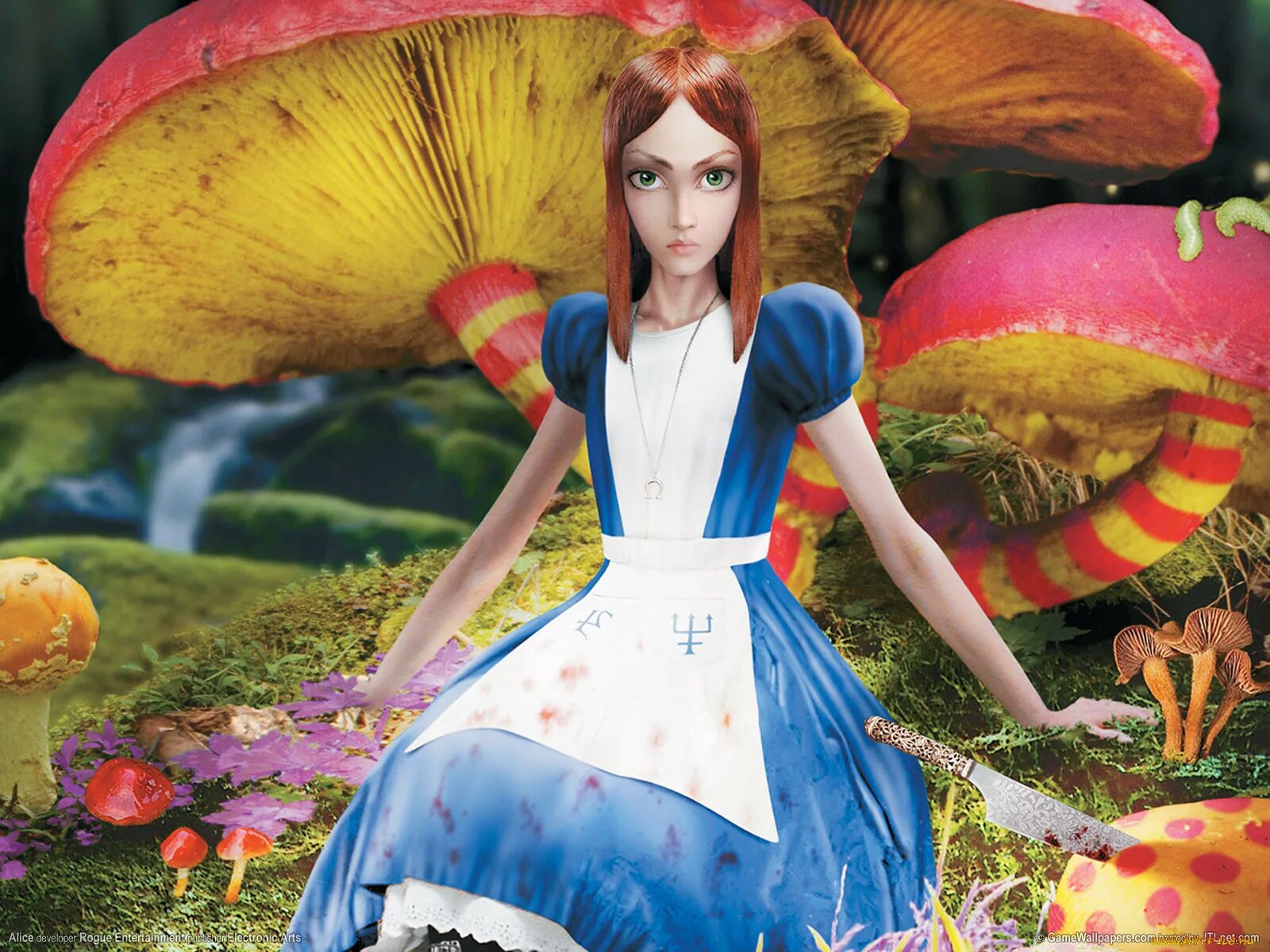 Картинки алисы. Алиса в стране чудес МАКГИ. Алиса ин Вондерленд. American MCGEES Alice лес грибов. Алиса в стране чудес Американ.