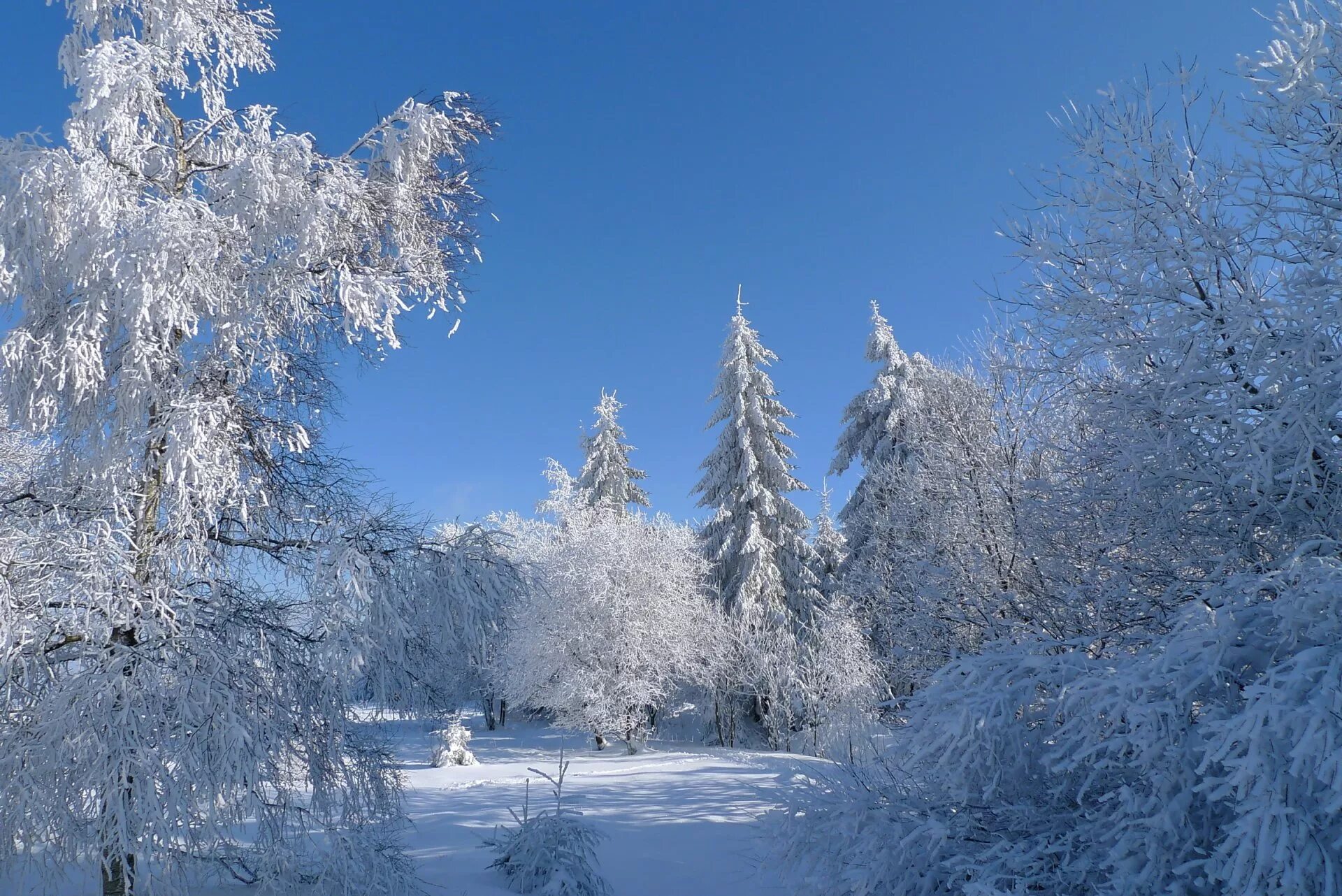 Красивые зимние картинки. Красивая зима. Зимняя природа. Зима пейзаж. Снежный пейзаж.