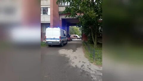 В петербурге выпали из окна