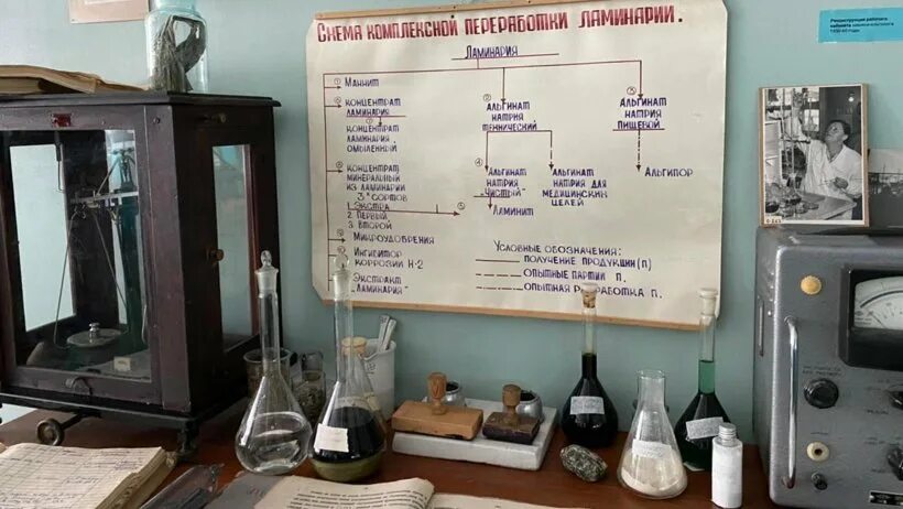 Музей водорослевого комбината Архангельск. Водорослевый комбинат Архангельск экскурсия. Архангельский водорослевый комбинат в Архангельске. Музей водоросли Архангельск.