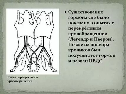 Эксперименты с гормонами