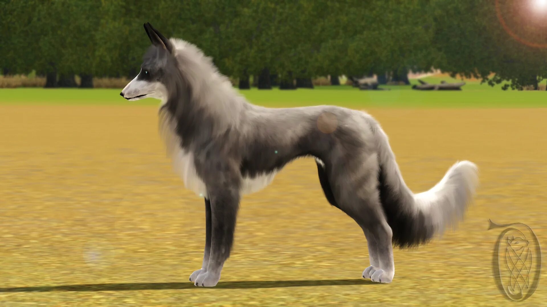 Sims furry. Симс 3 волки. SIMS 4 колли. Малинуа в симс 4. Шелти симс 4.