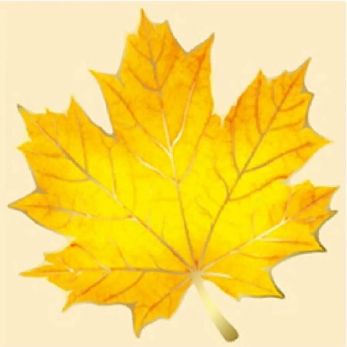 Leaves for school. Кленовый лист 20х20. Кленовый лист желтый. Кленовый лист печать. Кленовый лист цветной.