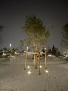 Парк ангелов зимняя