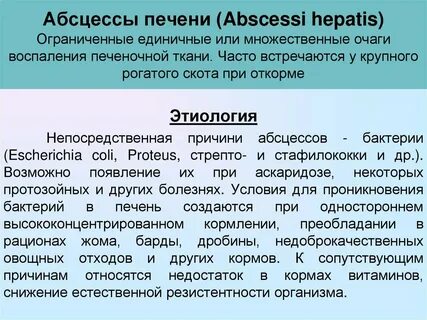 Абсцесс печени причины возникновения