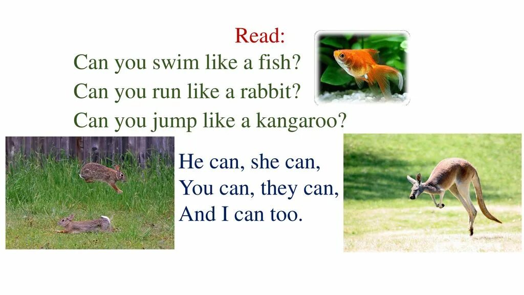 Can you Swim like a Fish can you Run like a Rabbit. Can you Swim like a Fish. Стихотворение на английском can you Swim like a Fish. I can Swim like a Fish стих. I fish can jump
