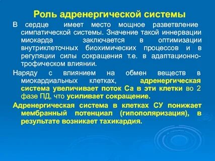 Роль сердца