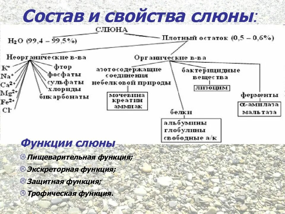 Состав и свойства слюны