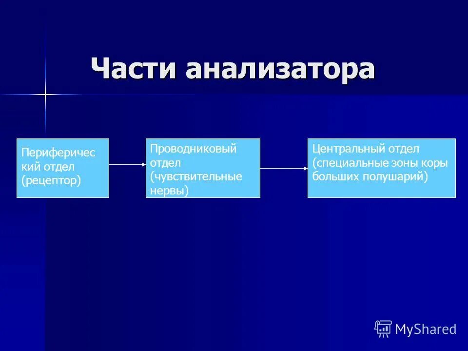 В состав анализатора входят ответ