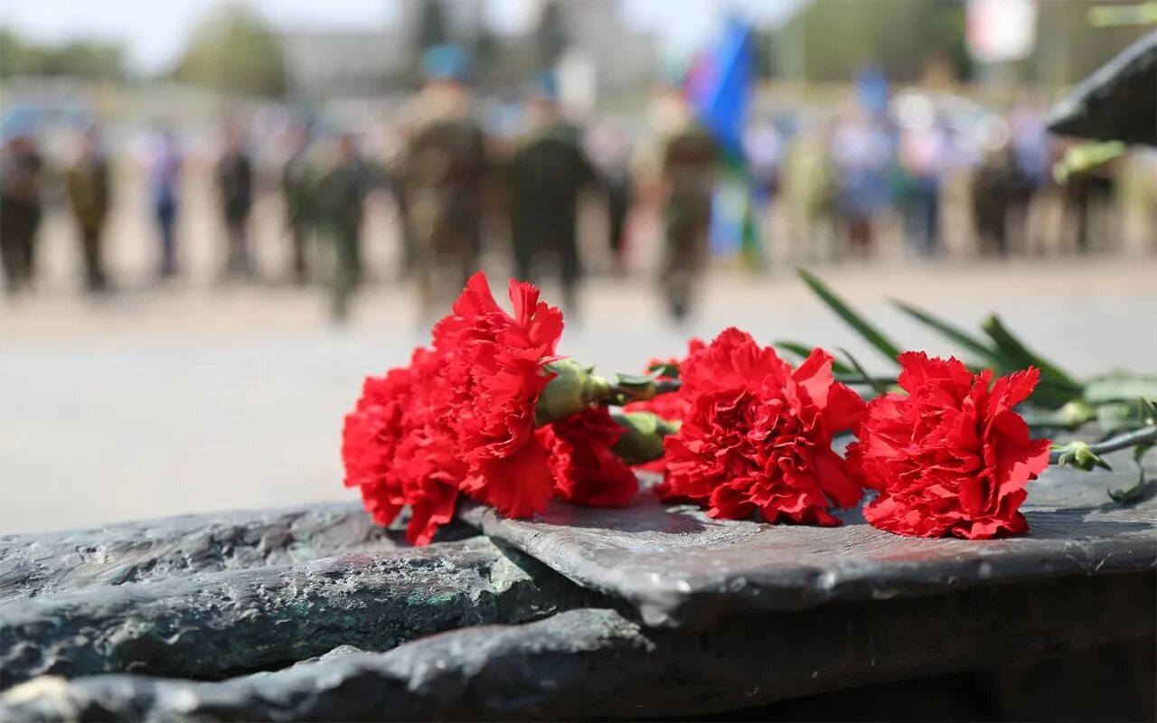 Гвоздики у вечного огня. Гвоздики на мемориале. День Победы гвоздики. Гвоздики монумент. Гвоздики день победы