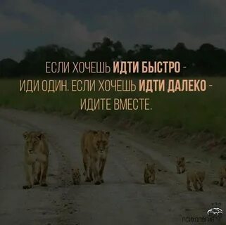 Всегда быстро хожу