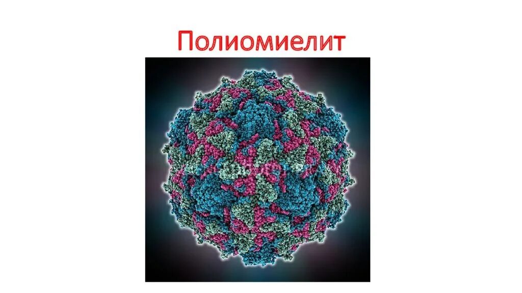 Центр полиомиелита. Вирус полиомиелита симптомы. вирус полиомиелита форма.