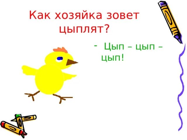 Слово цып. Хозяйка зовет цыплят. Буква ц цыпленок. Звук и буква ц. цыпленок цып презентация. Как зовут цыпленка.