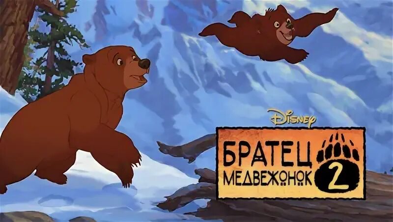 Братишка медвежонок 2
