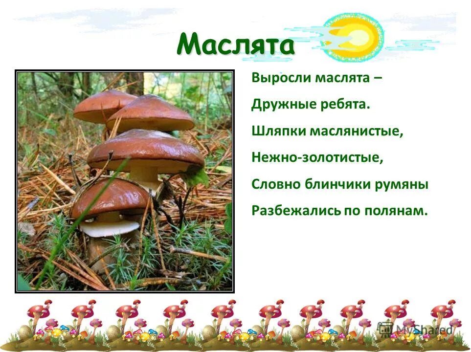 Пигменты грибов. Почему грибы выделяются в отдельное царство. Какое значение для леса имеют грибы. Почему грибы выделяют. Грибы – отдельное царство живых организмов.
