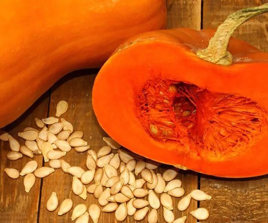 Тыква. Тыква лёжкая f1. Тыква в разрезе. Тыква cucurbita maxima. Тыква мускатная провансаль.