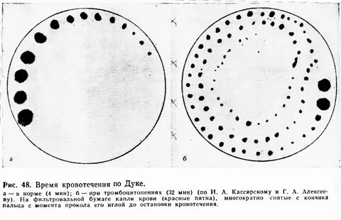 Время по дуке норма