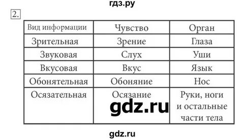 Заготовки по информатике 5 класс босова