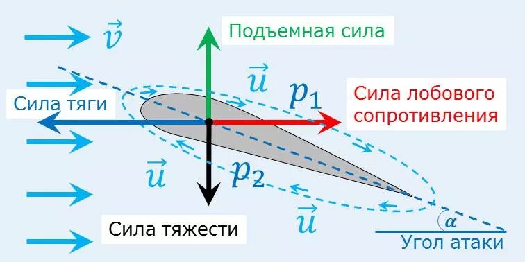 Под каким углом летит самолет. Аэродинамика крыла самолета подъемная сила. принцип подъемной силы крыла самолета. профиль крыла самолета подъёмная сила. эпюра подъемной силы крыла.