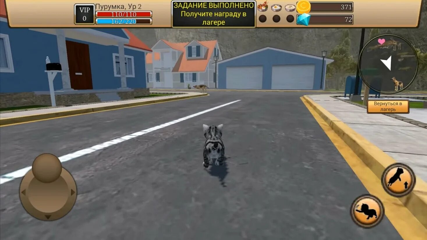 Cat simulator animal life 1.0 1.0. Взломанный симулятор кота. Симулятор котёнка много денег.