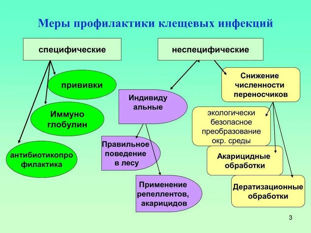 Профилактика клещевых инфекций тест. О мерах профилактики клещевых инфекций. Принципы профилактики клещевых инфекций. Неспецифическая профилактика инфекций клещевого энцефалита. Специфическая и неспецифическая профилактика инфекций.