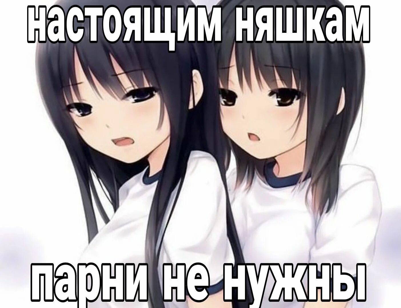 Sakura no mori. Няшка мемы. Анимешники мем. Ваша няшка. Неко конеко.