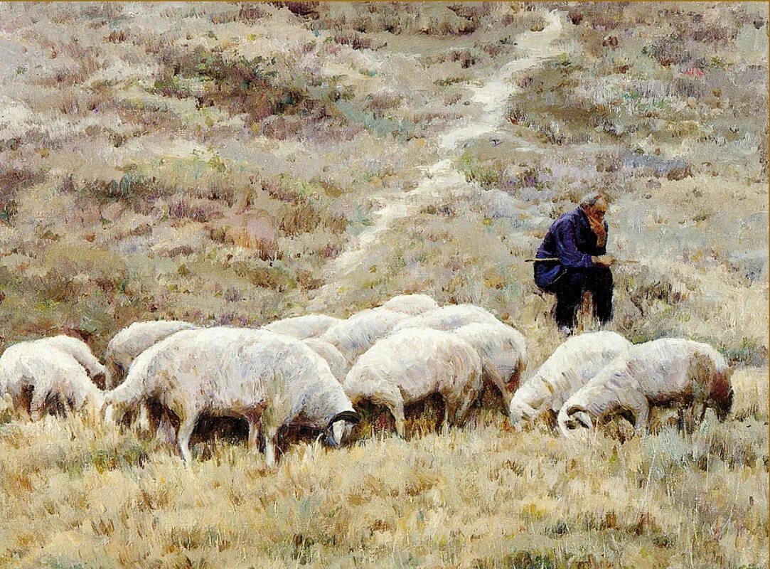 Пастбища в пустыне. Пасти овец. Пастух с овцами. Пастух картинка. Баран живопись.