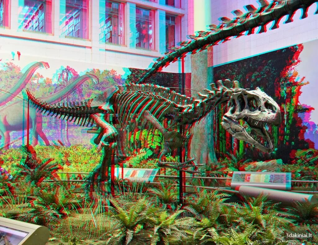 Динозавры 3д для очков. Динозавры анаглиф. Животные для очков 3д. 3d для анаглифных очков динозавры