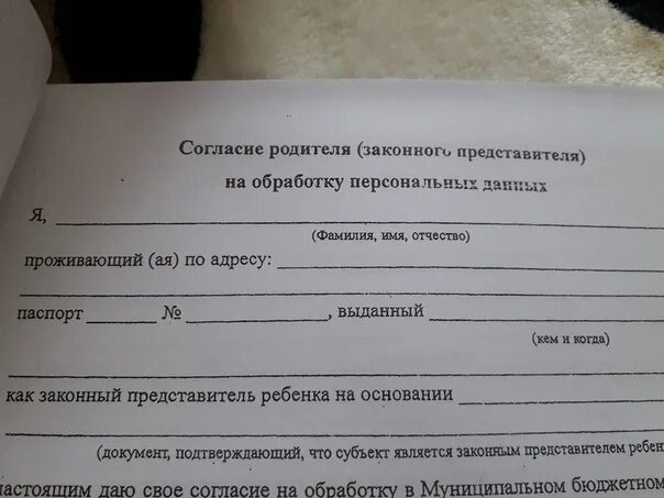 Даю согласие администрации. Согласие родителей. Разрешение на ребенка. Разрешение родителей. Согласие родителей документ.