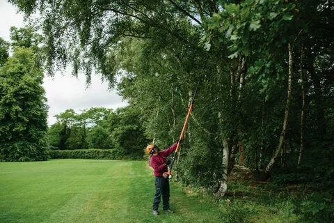 Forest pro