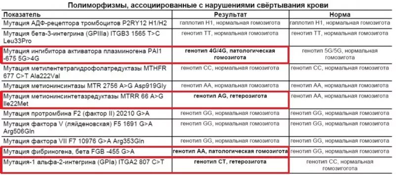 Мутантная гомозигота. Патологическая гомозигота. мутация, гомозигота. полиморфизм тромбофилии. мутация лейдена нормальная гомозигота.