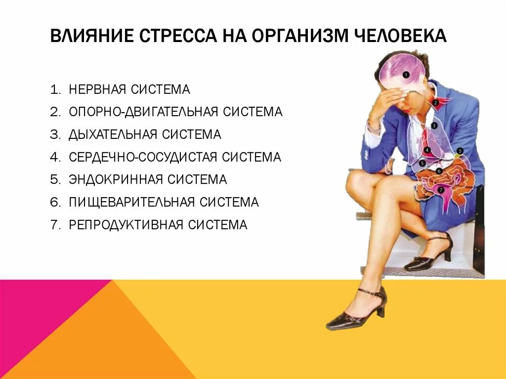 Влияние стресса на организм. Влияние стресса на системы органов. Влияние стресса на человека. Влияние стресса на здоровье человека. Какое влияние на здоровье оказывают стрессы