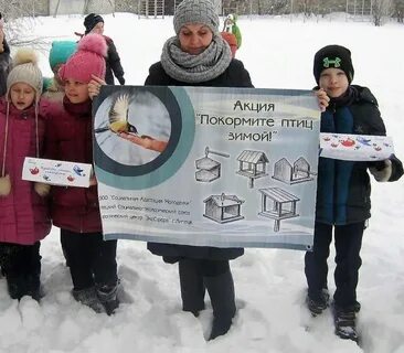 Зимние экологические проекты