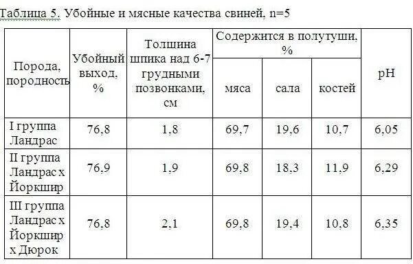 Живой вес сколько мясо. Выход мяса свиньи от живого веса таблица. Выход мяса свинины от живого веса таблица. Живой вес свиньи таблица выхода мяса. Какой выход мяса у свиней от живого веса таблица.