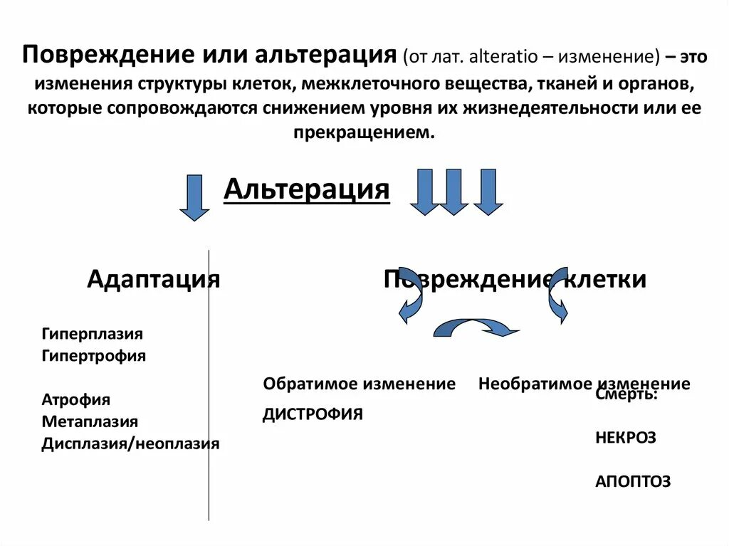 Повреждение структуры клеток. Изменение межклеточного вещества при альтерации. повреждение клетки. альтерация клеток. повреждение альтерация.